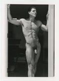 Erik King 1994 Colt Studio/Jim French Sexy Tanned Beefcake 5x7 Muscular Gay Physique Photo J9623