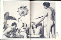 Unreleased Blazing Films V4#3 Calga/Pendulum 1970 Ed Wood Jr 72pgs Hippie Erotica Group Sex M22678