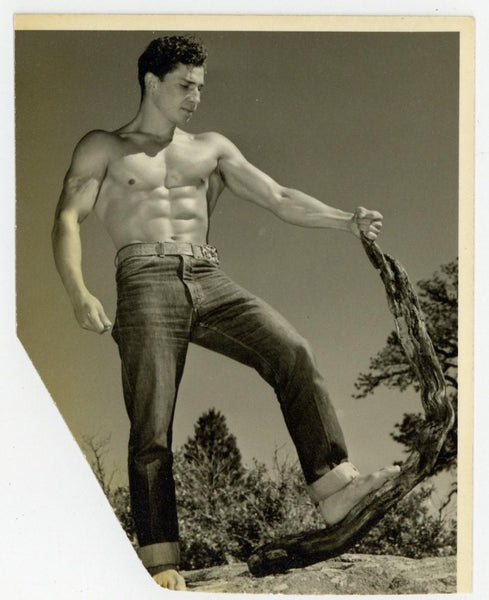 WPG 1950 Handsome Beefcake Tight Jeans 5x4 Don Whitman Gay Physique Photo Q8097