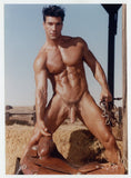 Tony Ganz 1997 Colt Studios Incredible Muscular Physique 5x7 Beefcake Nude J9885