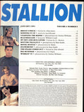 Torso's Stallion 1991 Stallion Pub. V3#9 Ram Studios Chelsea Williams 84pgs Beefcake Hunks Gay M22741