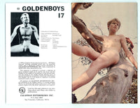 Golden Boys #17 Calafran Ent. Robin Roberts, Jess Foryn 1969 Jeff Taylor, Dusty Haven 48pg M23053