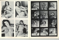290 Boobs, Busts & Bazooms V1#3 Parliament 1972 Ann Ali, Roxy Brewer 60pgs Joyce Gibson, Pat Marsh, Janet Hopkins All Big Boobs M21855