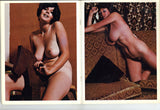 317 Boobs, Busts & Bazooms V3#3 Parliament 1974 Roxy Brewer, Ann Ali 60pgs Rene Bond Solo Women Big Boobs M21910