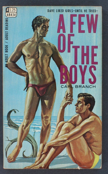 A Few of The Boys by Carl Branch Greenleaf Adult Book AB 434 Vintage Gay Pulp B10