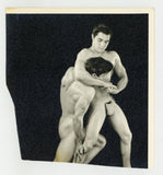 Harold Adducci & Paul Labriola 1950 WPG Don Whitman Gay Physique Photo Q8553