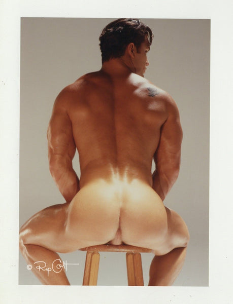 Dusty Manning 1997 Colt Studio 5x7 Ass View Tanned Muscular Smooth Physique Tattooed Hunk Nude Gay Photo J10417