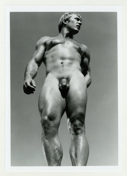 Gavin Reed 1986 Muscular Beefcake Colt Studios 5x7 Jim French Perfect Gay Physique Photo J10514