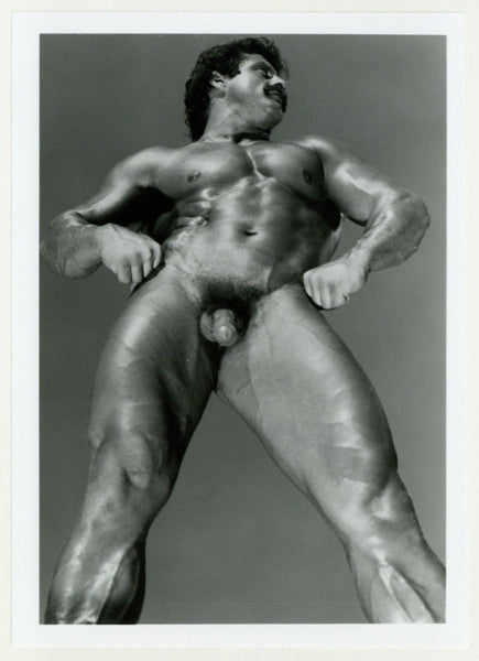 Ed Rhinehard/Peter Andreas Colt Studio Muscular Beefcake 5x7 Jim French Gay Photo J10532