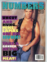 Numbers 1994 Mike Lamas, Brad Hunt, Victor Patrenka 100p Falcon, Forum Studios Gay Beefcake Magazine M23738