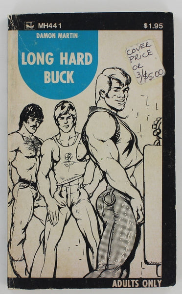 Long Hard Buck by Damon Martin 1974 Surrey House MH441 Manhard Book Series 186pg Vintage Gay Pulp Pocket Novel PB86