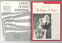 Satanic Sex Cult 1970 A Study of Sado-Masochism V2#1 Vintage Horror Porn 68pg Ed Wood Jr., Calga Pendulum Magazine, Orgy Spanking M23996