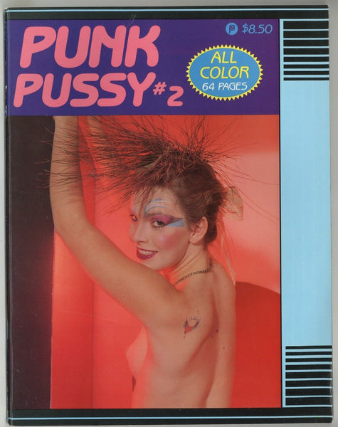 Punk Rock Pussy V1#2 Ora Lee, Viper, Pattie Smyth 1986 California Punk Rock Nude Girl Groupies 64pg American Art Enterprises Magazine M24038