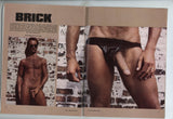 Honcho #21 April 1982 Falcon, Roy Dean, Tim Kramer 82pgs Surge Studios Gay Leather Magazine M24091