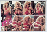 Stacked 1992 Suzi Boobies, Leeane Loveace, Pandora Peaks, Chessie Moore, Letha Weapons, Traci Topps 100pg Big Boobs Magazine M24527