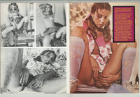 Cherry Tarts 1976 Rhonda Jo Petty 48pgs Pictorial Graphic Novel Adult Magazine M25103