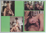 Joys of Erotica 1982 Sue Nero, Lysa Thatcher, Judy Star, Ashley Welles 68pg Connie Cox, Jane Lindsay Porn Stars M25122