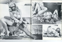 The Autobiography of Candy Samples Part One 1978 Big Boobs Superstar 48pg Magazine M25147