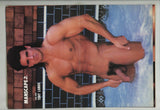 Manscape 2 Firsthand Ltd 1989 Celsius Productions, Starbuck Beefcakes 100pgs Gay Pinup Magazine M26156