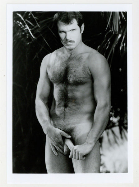 Peter Stride 1986 Colt Studio Hairy Teddy Bear Beefcake Sexy Stare 5x7 Jim French Gay Nude Photo J11129