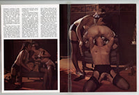 Swedish Erotica 1982 John Holmes, Sharon Thorpe, Suzanne French, Desiree West 32pgs Hard Sex Magazine M28054