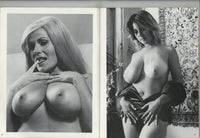 38-26-34 1978 Ann Ali, Ushi Digard, Sylvia McFarland, Hanna Viek 56pgs All Big Boobs American Art Enterprises Magazine M28072