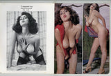 T & T 1981 Big Boobs 48pgs Busty Curvy Solo Women Stockings American Art Enterprises Magazine M28084