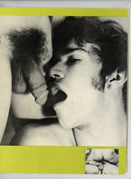 Manhandlers 1972 Psychedelic Gay Pulp Fiction Pictorial 40pg Purple Press Homoerotic Magazine M28209