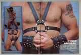 Honcho 1984 Lorenzo DePalma, Allen Matthew, Kristen Bjorn, Malexpress, Randall Parker 98pgs Gay Magazine M28376