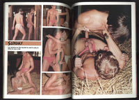 Stroke V1#2 Big Cock Leathermen 1981 Tom Of Finland 100pg Magcorp Gay Magazine M28613