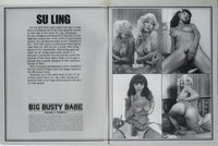 Su Ling Special 1983 Mature Asian Porn Superstar 48pg Big Busty Babe, American Art Enterprises Magazine M28635