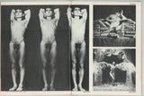 In Touch 1983 Peter Barrie Rick Donovan Shawn Mayotte 100pgs Tom Of Finland Gay Magazine M29078