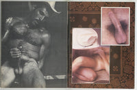 Cruising Cowboys 1981 Hairy Chest Big Cock Beefcake 72pgs Blueboy 10 Best Men Gay Porn Magazine M29159