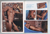 Playgirl 2002 John Brice, Todd Hunt, Hunter Tyler 98pgs Gay Pinup Magazine M29485