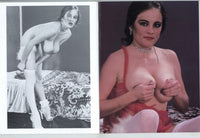 Big Tit Milk 1984 Gorgeous Brunette 48pgs Busty Big Boobs Magazine, Golden State News M30107