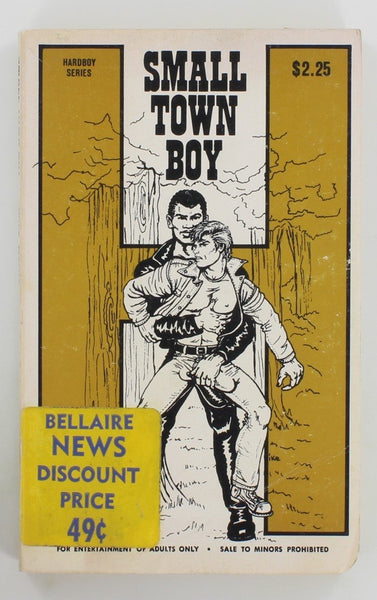 Small Town Boy by Mike Wayne 1975 Star Dist. Hardboy Series HS 1012 Homoerotic Rough Trade Pulp Fiction Novel PB310