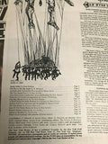 New York Review Of Sex & Politics #7 Brad Holland 1969 Avante Garde Art Tabloid